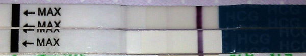 2d715f42c0266e4e2548bda12c762815.jpg