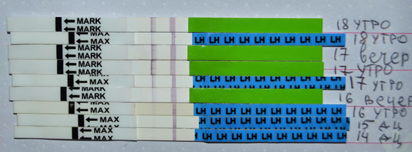 57caeea97e3ea870f7d8b8fa8a134e06.png