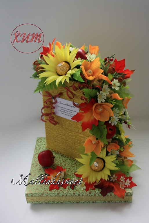 Мой мини отчет