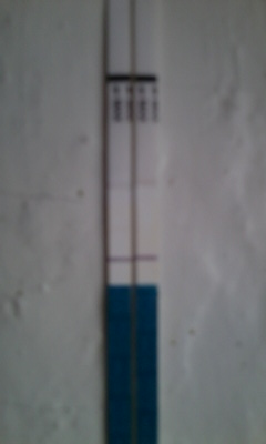 Как вы думаете, оно?