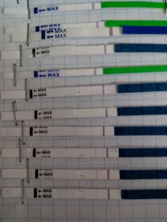 Мои тесты !!!!