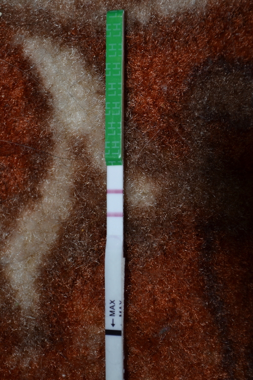 6105df1dcbead2dd7638a76ff17a29f8.jpg