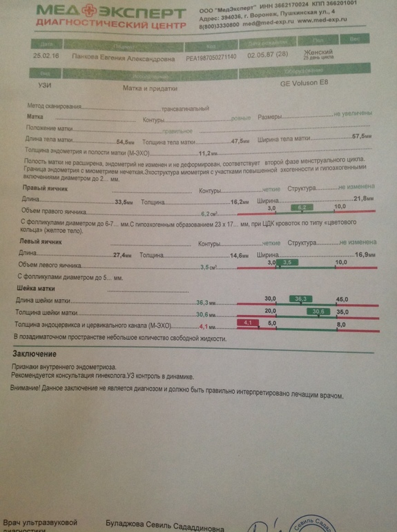 Медэксперт прайс анализы