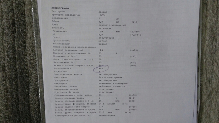 Схема лечения тератозооспермии форум