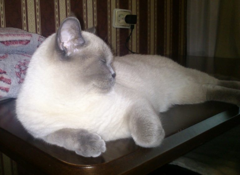 Просто фото!!!