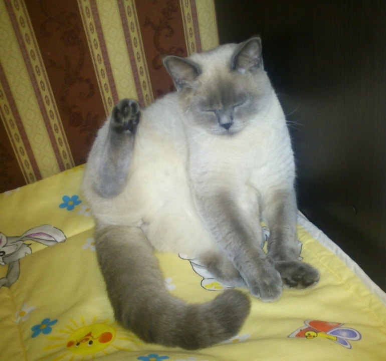 Просто фото!!!