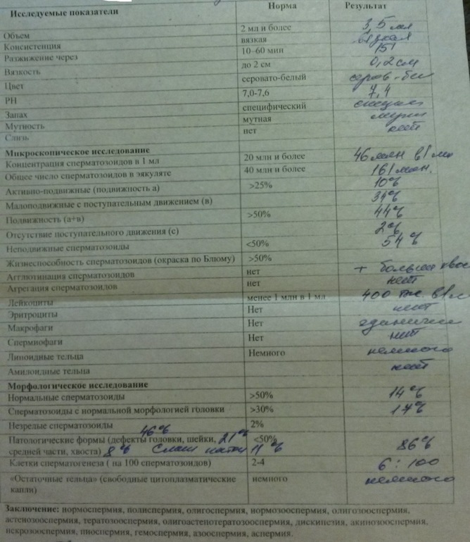 Нормозооспермия показатели спермограммы. Нормозооспермия бактерии заключение спермограммы. Показатели тератозооспермия спермограмма. Вискозипатия спермограмма что это. Заключение спермограммы нормозооспермия.