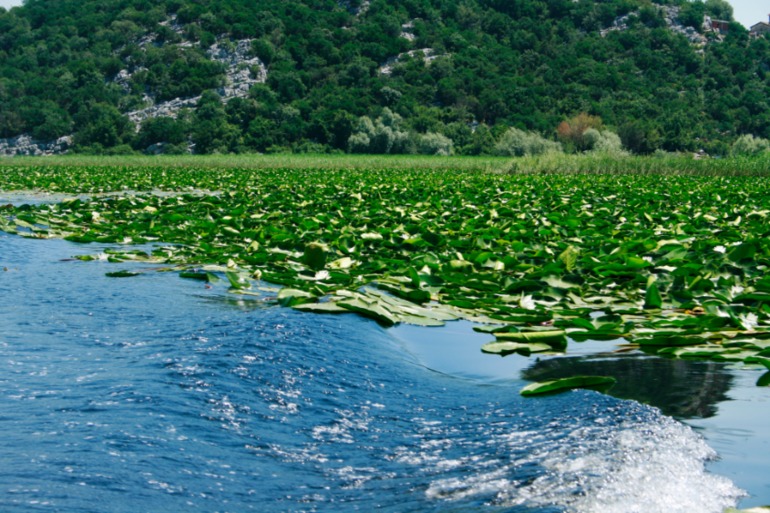 Черногория. Ульцинь. Июнь 2013.
