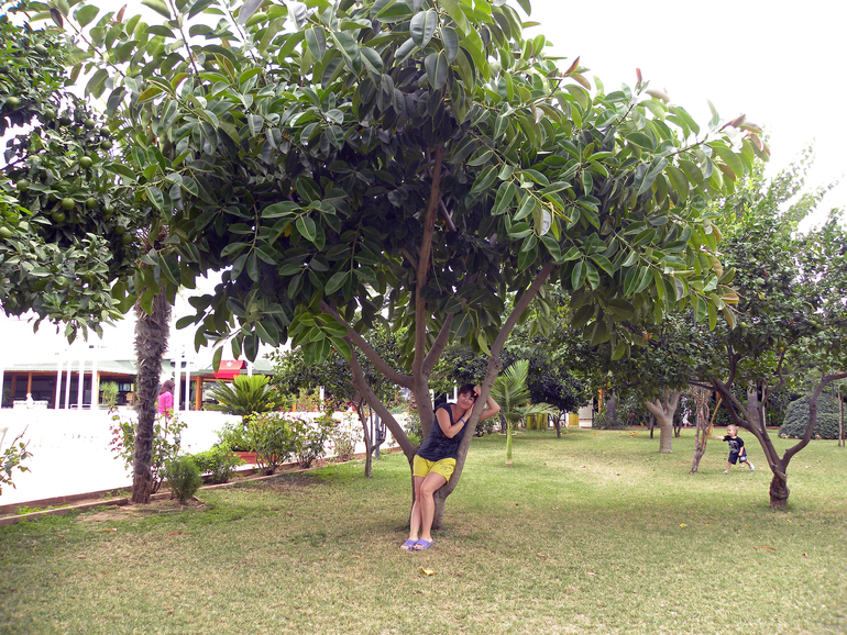 отпуск в октябре 2013