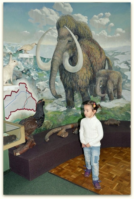 Мартышки и нога мамонта.