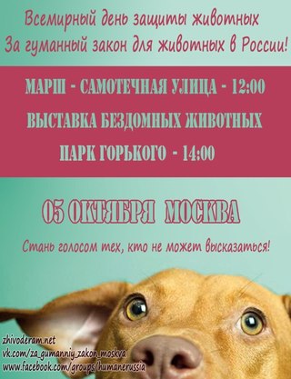 5 октября пройдет выставка собак из приютов г. Москвы