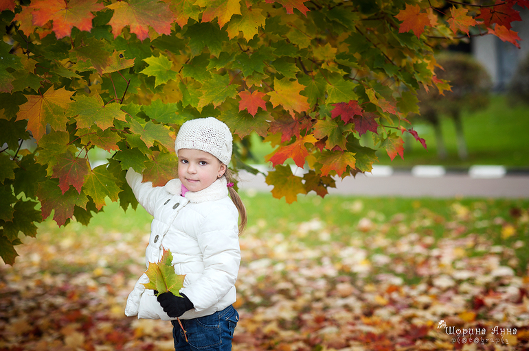 Осенняя фотопрогулка 9 и 10 октября по спец.цене