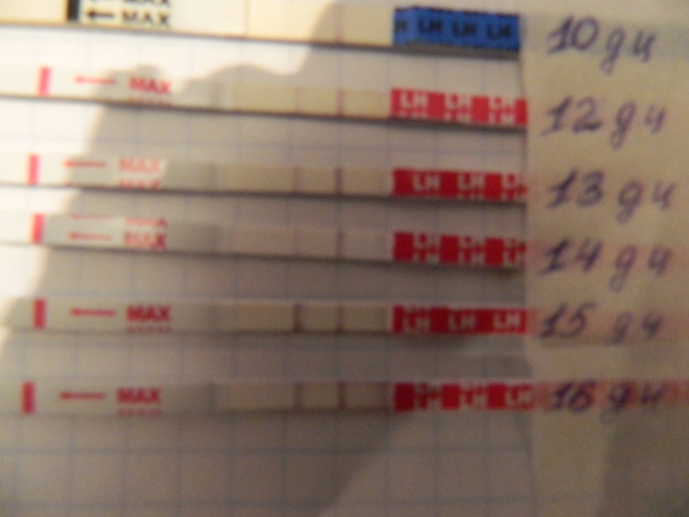 Овулька(продолжение).