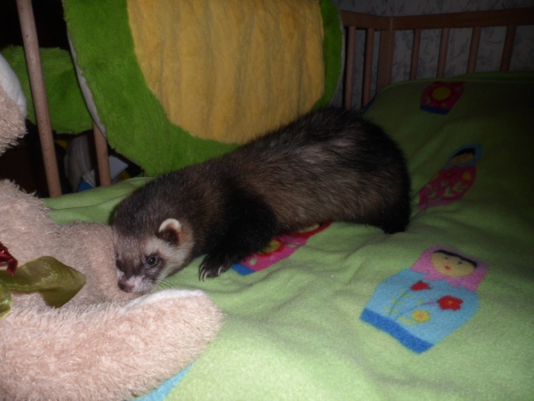 Наши малыши.