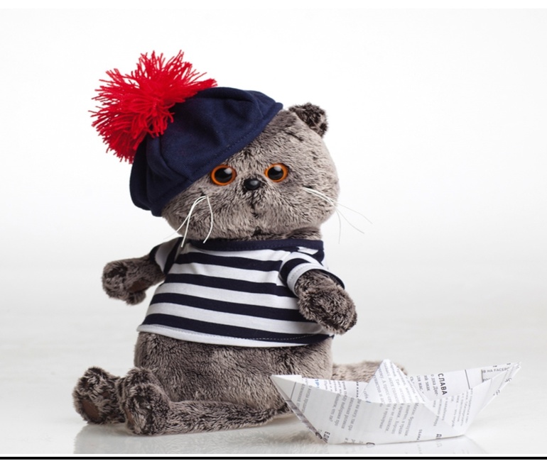 Знаменитый кот БАСИК