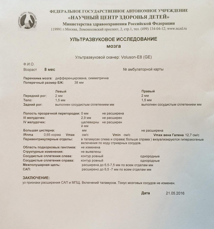 Протокол нейросонографии образец