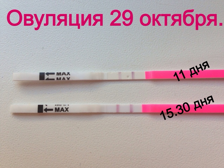 Ура!! Овуля такое может быть ?