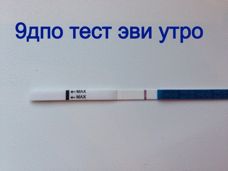 Фото тестов на беременность 9 дпо фото