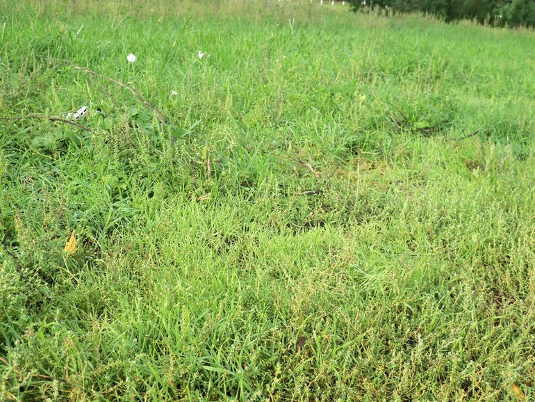 С октябрём!! ФМ