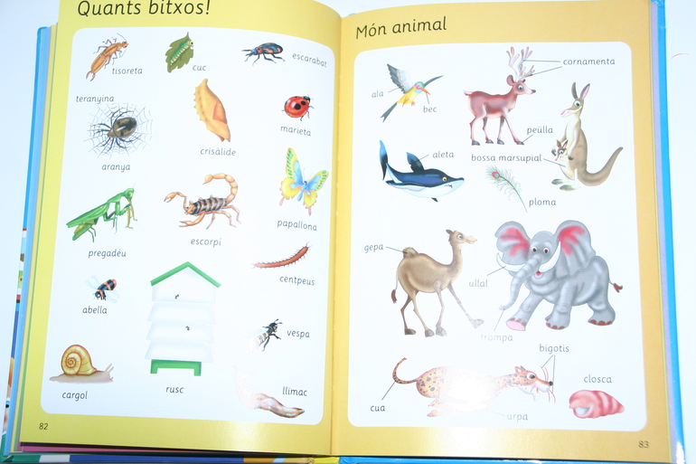 lES meves primeres 1000 paraules il lustrades.