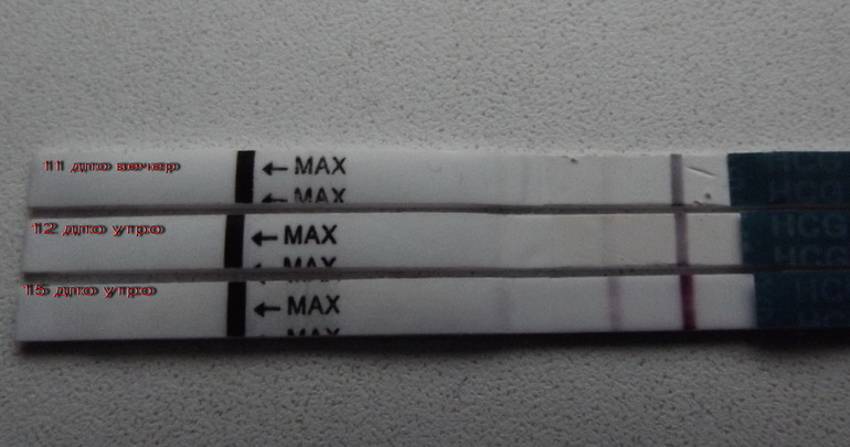 Ура! У нас получилось).