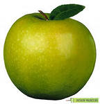 Отчет по ТН ЦВЕТ. ЗЕЛЕНЫЙ