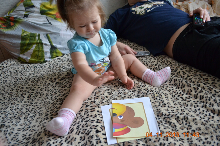 ТН ДИКИЕ ЖИВОТНЫЕ