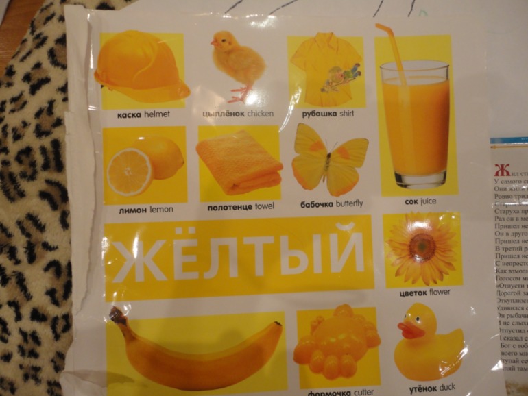 ТН Цвета. ЖЕЛТЫЙ и КУРОЧКА РЯБА