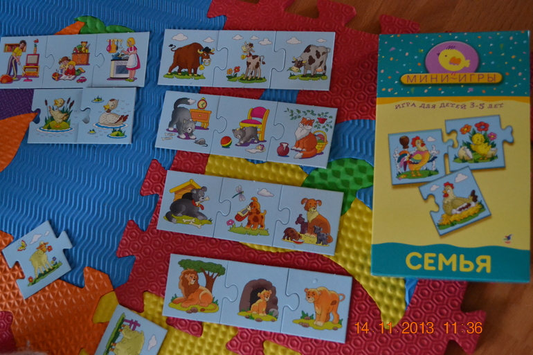 ТН Семья. день заключительный