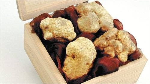 Ужин класса люкс или драгоценный гриб