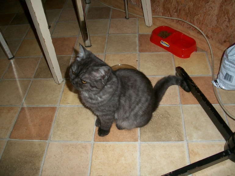 Как правильно цвет называется?