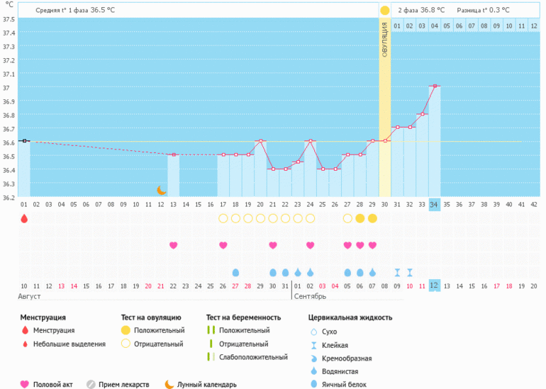 Бебиблог беременность. Беременные графики с поздней имплантацией. График беременности по месяцам. Беременные графики с из. Поздняя овуляция беременный график.