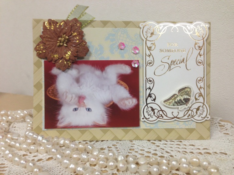 Открыточки (очень много)