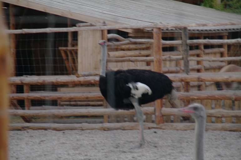 Бердянск, как и где правильно отдыхать!