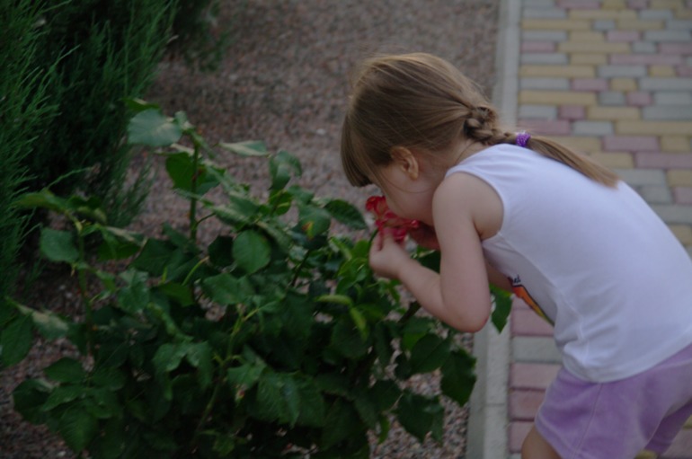 Бердянск, как и где правильно отдыхать!