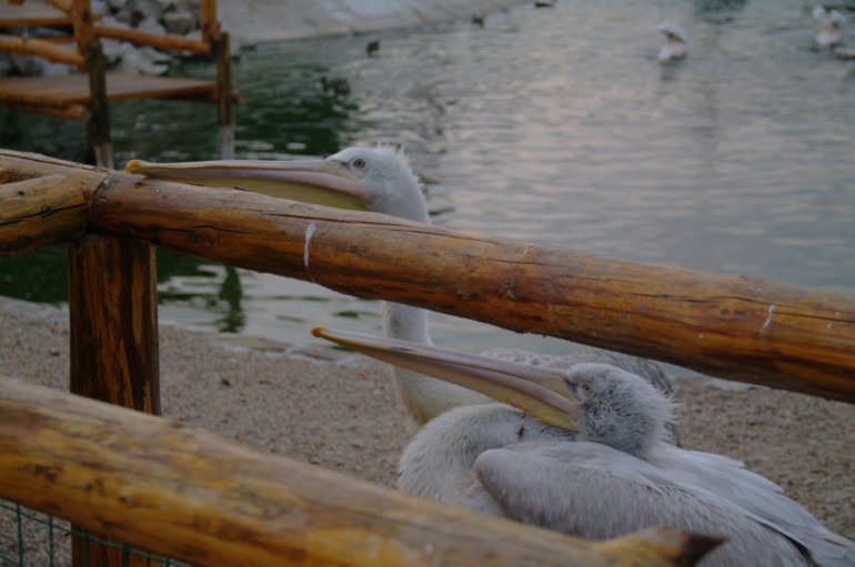 Бердянск, как и где правильно отдыхать!