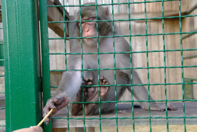 Бердянск, как и где правильно отдыхать!