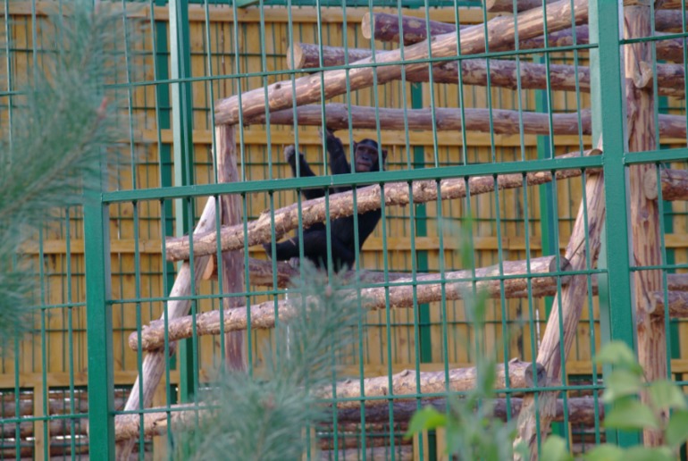 Бердянск, как и где правильно отдыхать!