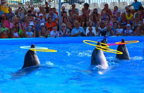 Бердянск, как и где правильно отдыхать!