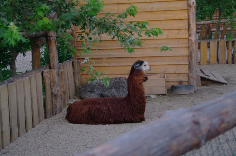 Бердянск, как и где правильно отдыхать!