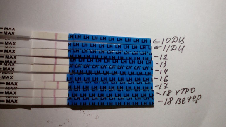 16 день цикла. Тест на беременность при нерегулярном цикле. I sure тест на овуляцию. Выделения при нерегулярном цикле. Тест на овуляцию 8 день цикла.