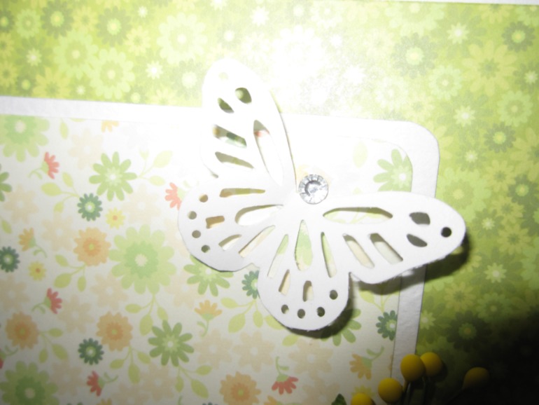 Моя первая ...