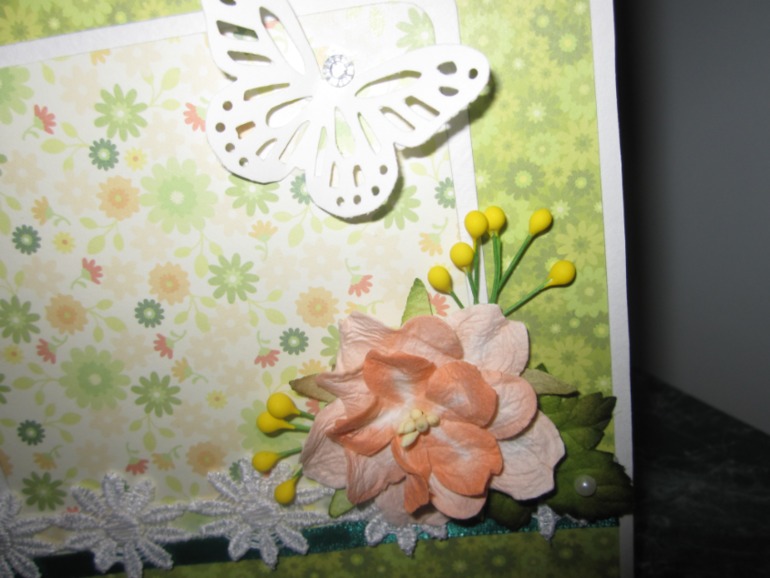 Моя первая ...