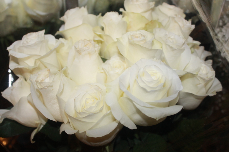 как мы родились =)