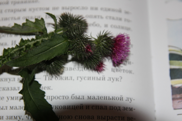 a97cdd2be664a1dcef0e688286634d25.jpg