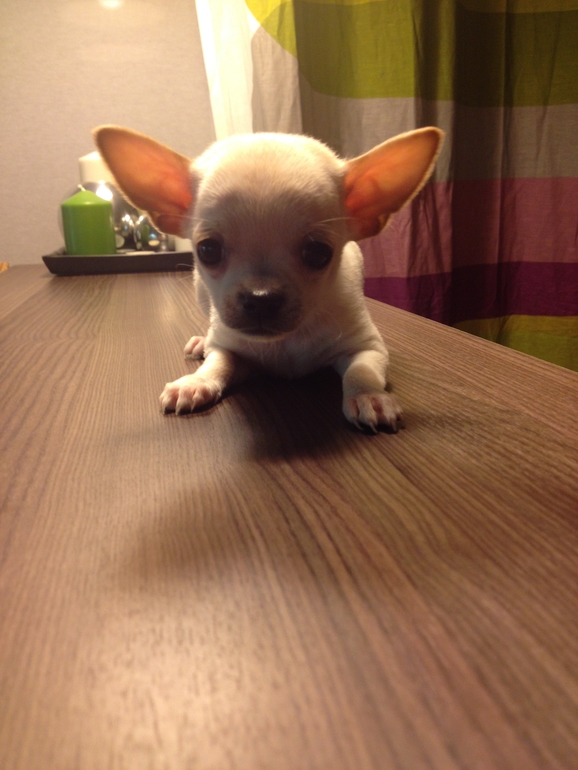 Забронированы)