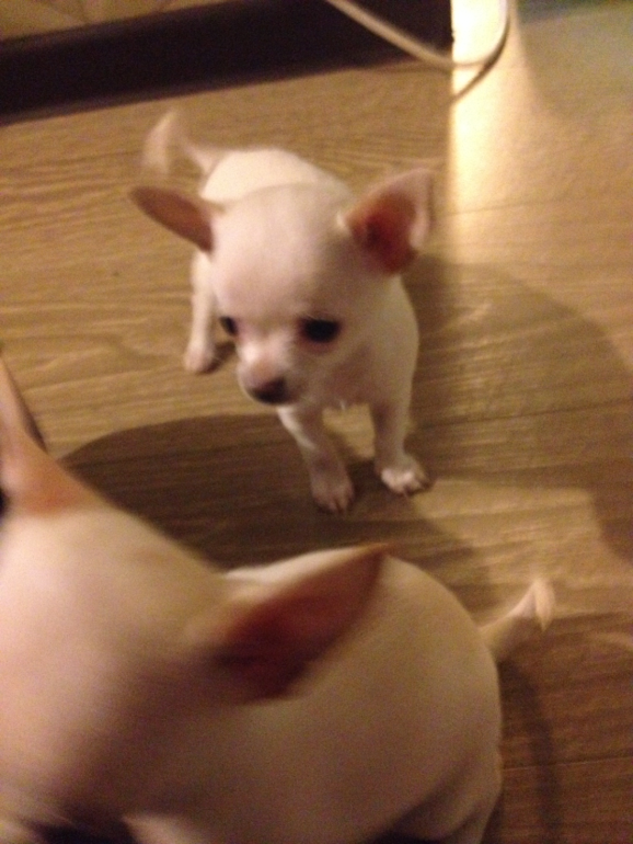 Актировка у малышей)