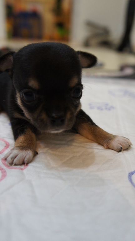 через 3 дня месяц)