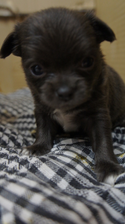 через 3 дня месяц)