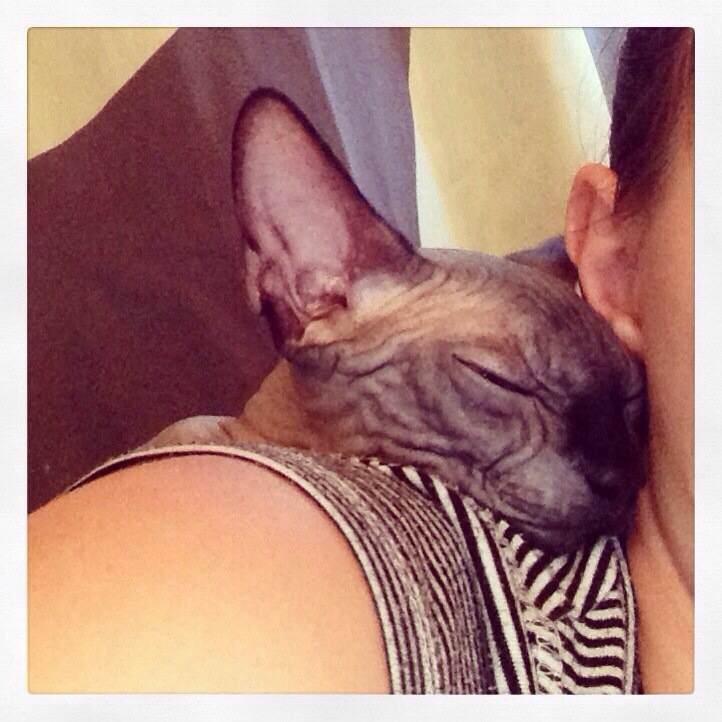 всех по чуть-чуть